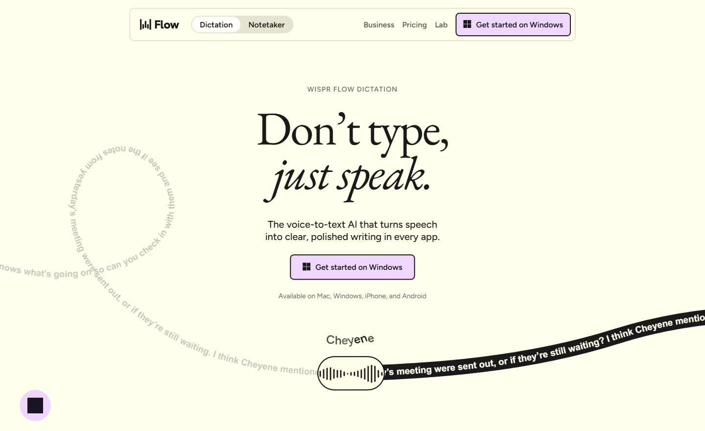 Wispr Flow homepage showing the tagline Don't type, just speak